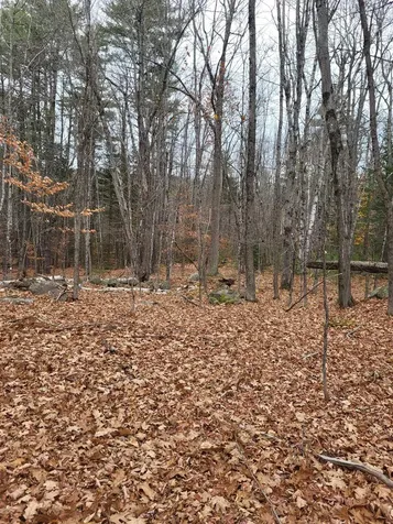 00 Rice Hill Road Freedom NH 03836