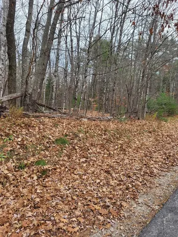 00 Rice Hill Road Freedom NH 03836
