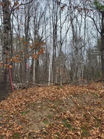 00 Rice Hill Road Freedom NH 03836