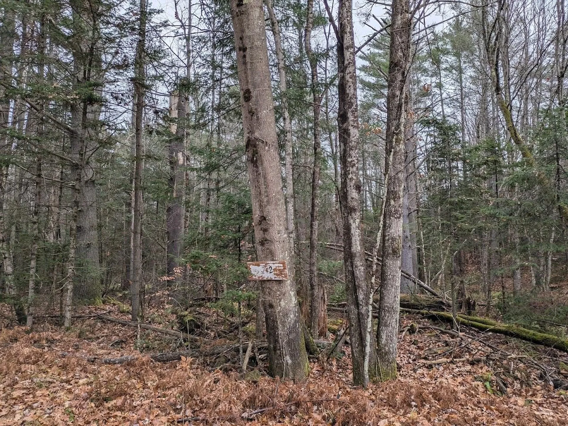 Brookfield Road Haverhill NH 03785