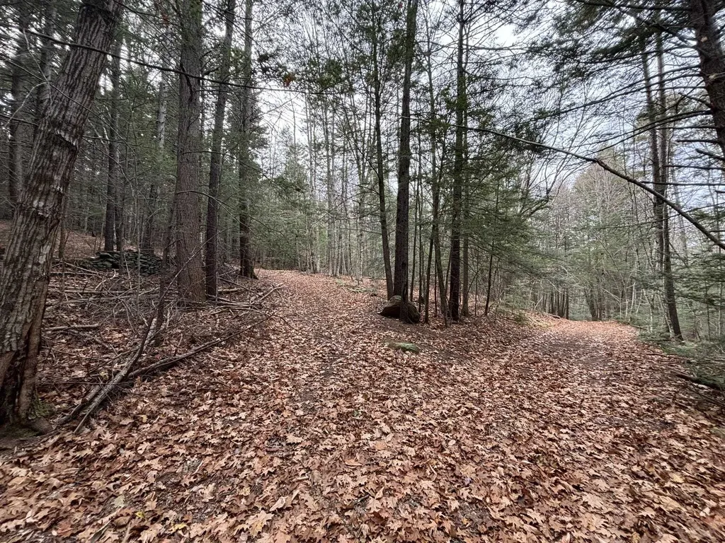 53 Brickyard Road Dover VT 05341