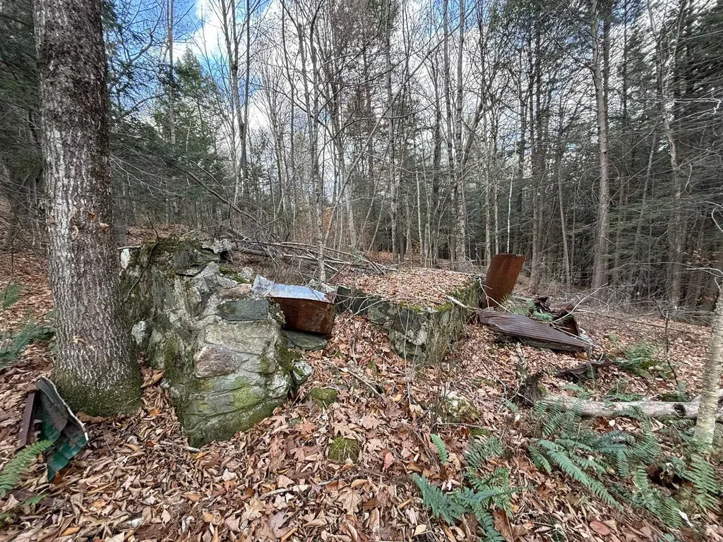 53 Brickyard Road Dover VT 05341