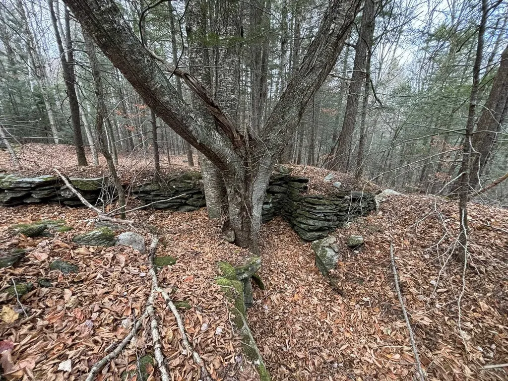 53 Brickyard Road Dover VT 05341