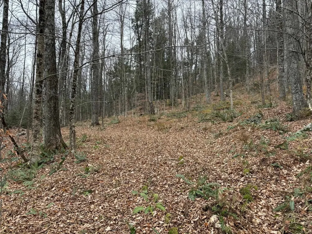 53 Brickyard Road Dover VT 05341