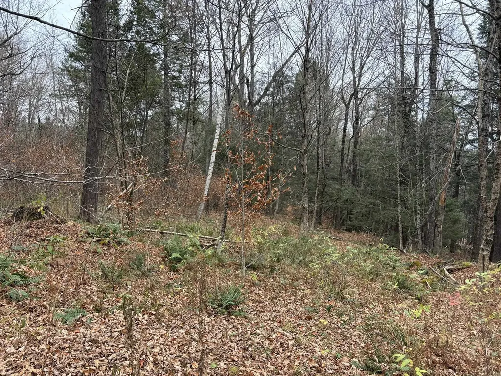 53 Brickyard Road Dover VT 05341