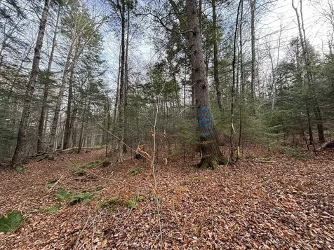 53 Brickyard Road Dover VT 05341