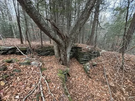 53 Brickyard Road Dover VT 05341