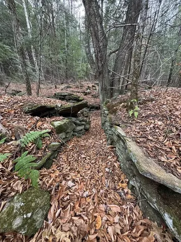 53 Brickyard Road Dover VT 05341