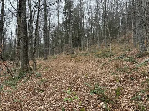 53 Brickyard Road Dover VT 05341