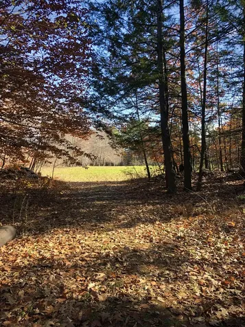 236 Miller Road Brattleboro VT 05301