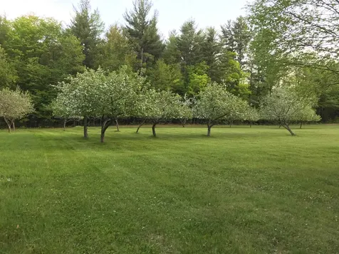 236 Miller Road Brattleboro VT 05301