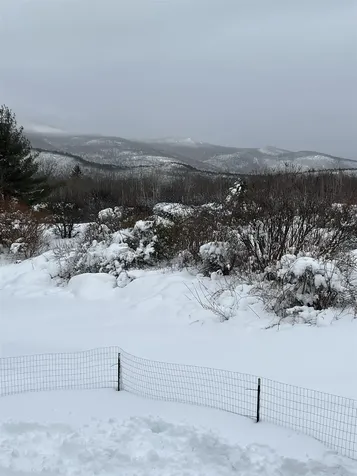 152 Ledge Hill Road Tuftonboro NH 03816