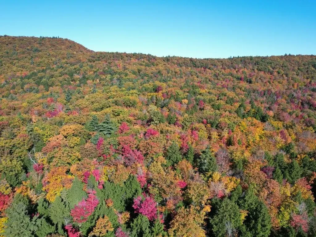 Pieters Road Andover NH 03216