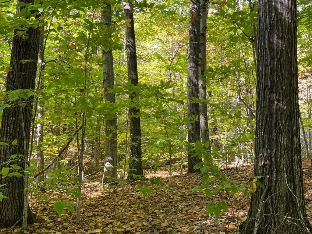 Pieters Road Andover NH 03216