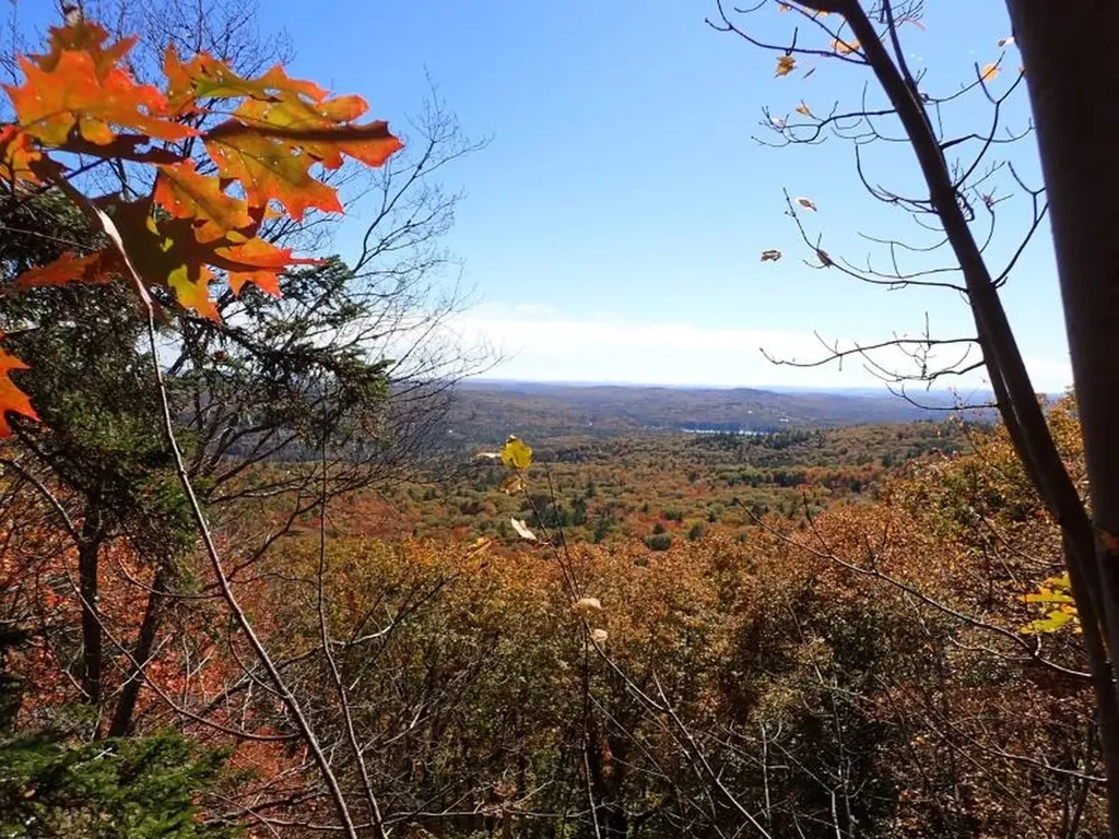 Pieters Road Andover NH 03216