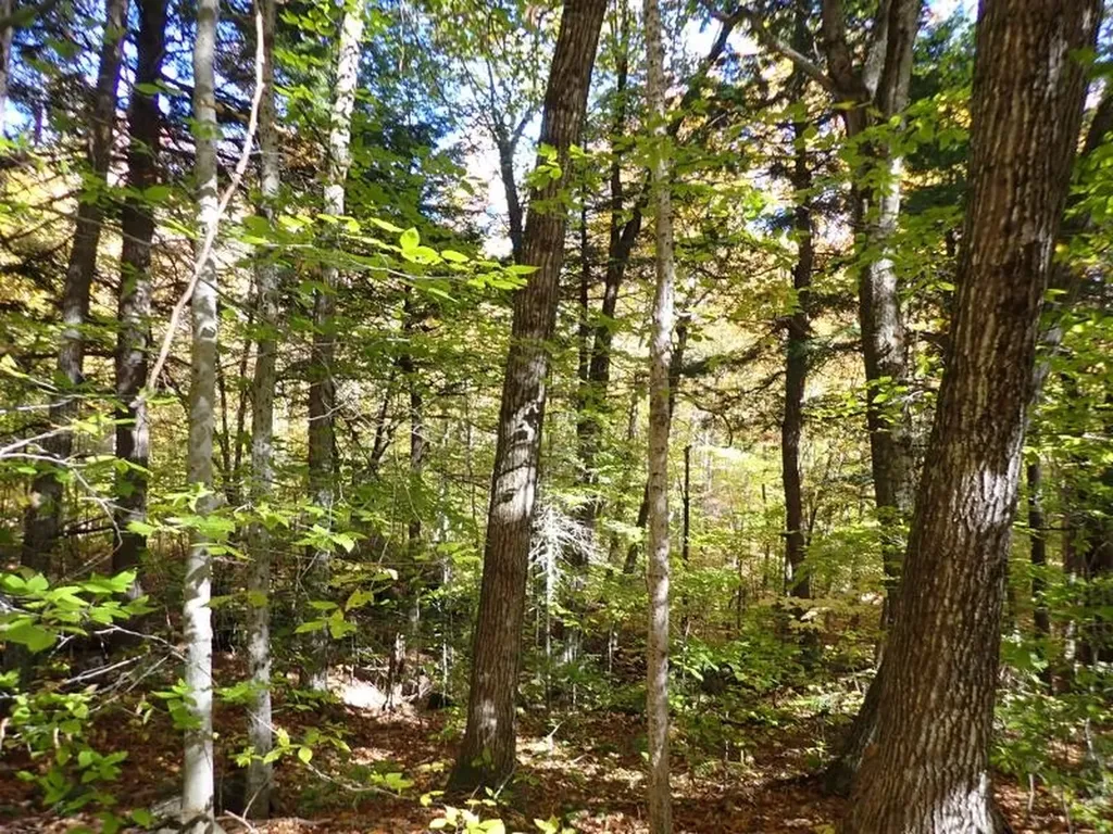 Pieters Road Andover NH 03216