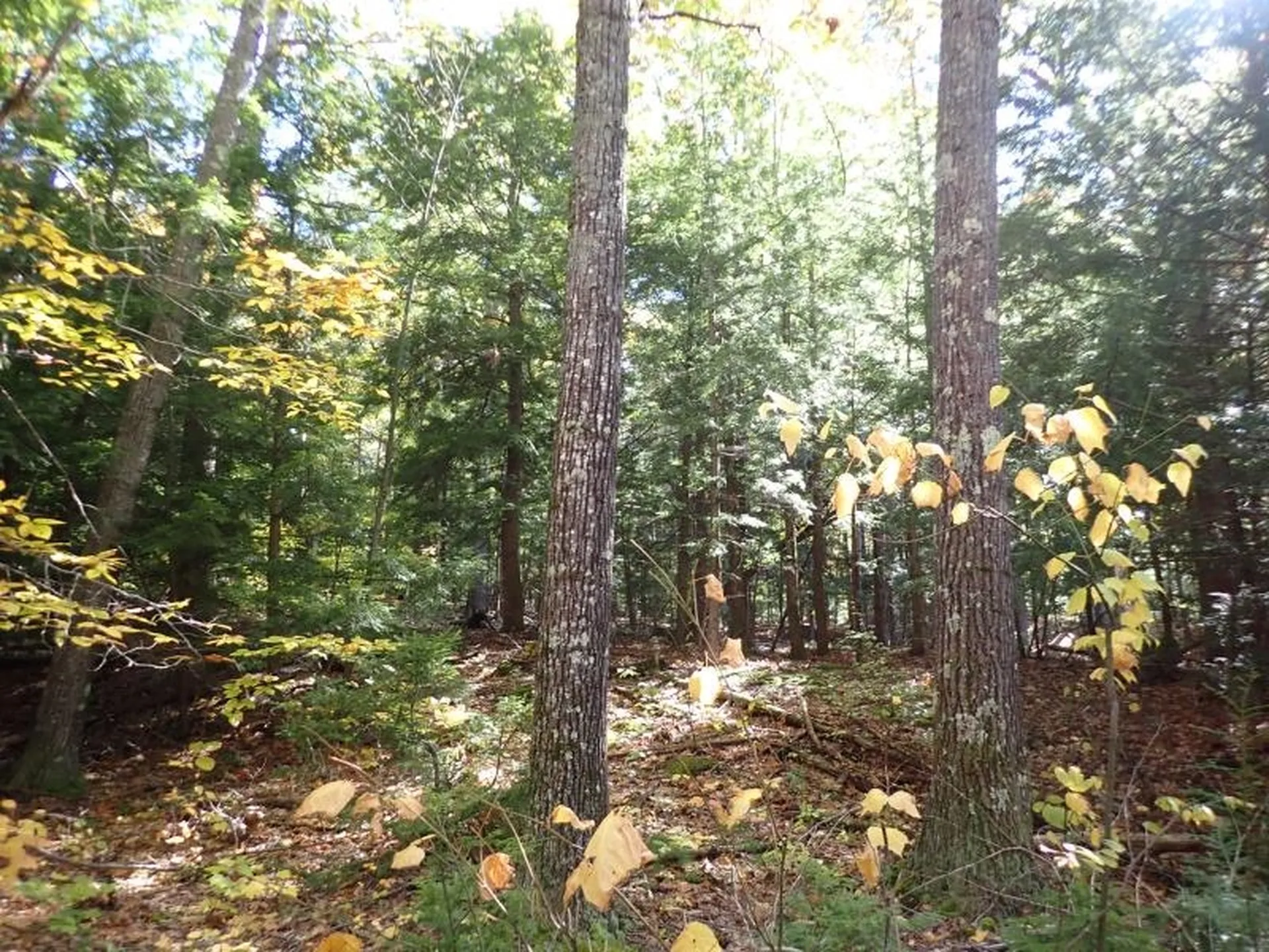 Pieters Road Andover NH 03216