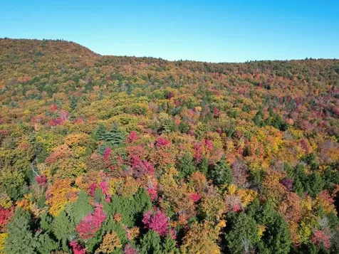 Pieters Road Andover NH 03216