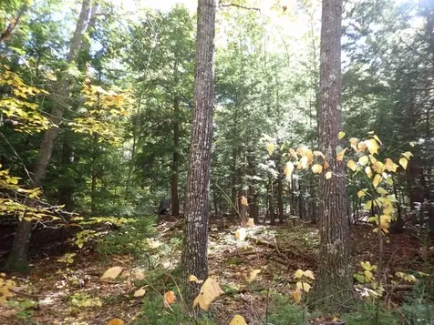 Pieters Road Andover NH 03216