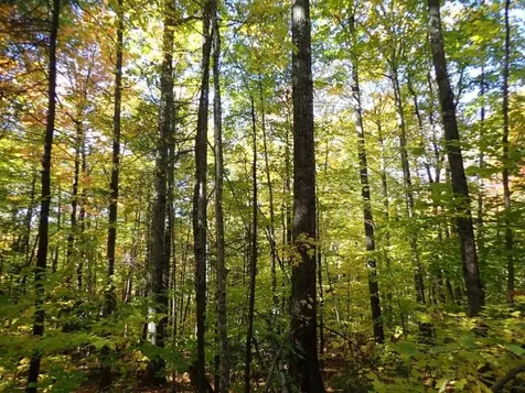 Pieters Road Andover NH 03216