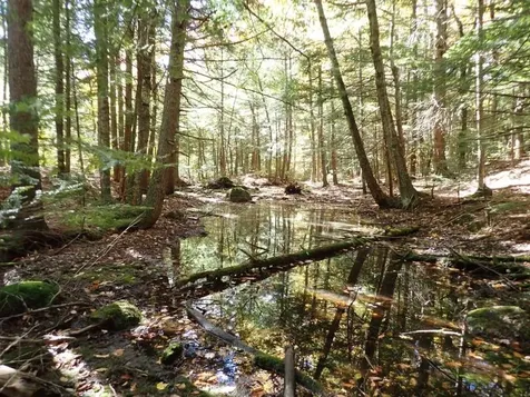 Pieters Road Andover NH 03216