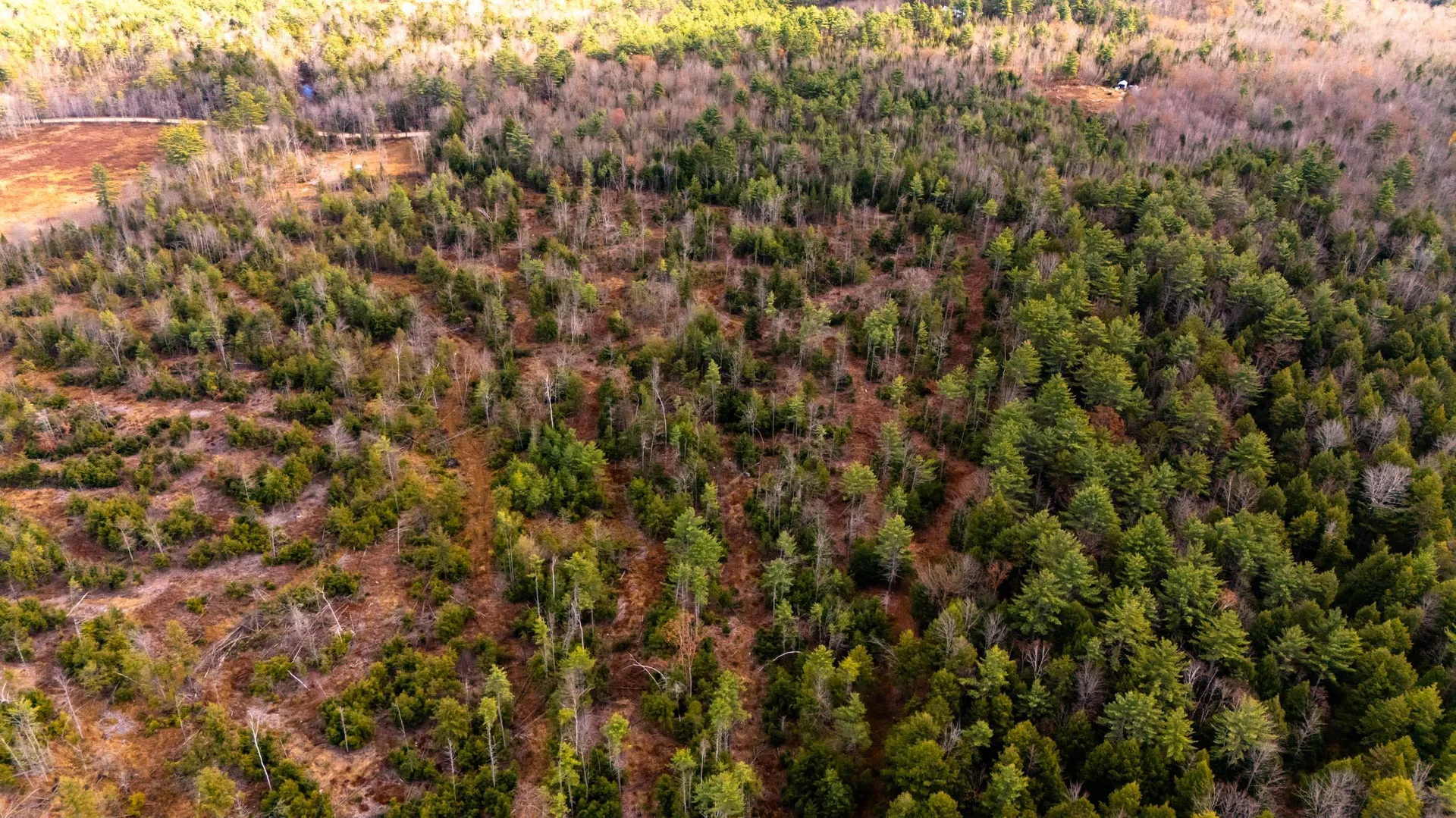 00 Leighton Corner Road Ossipee NH 03864