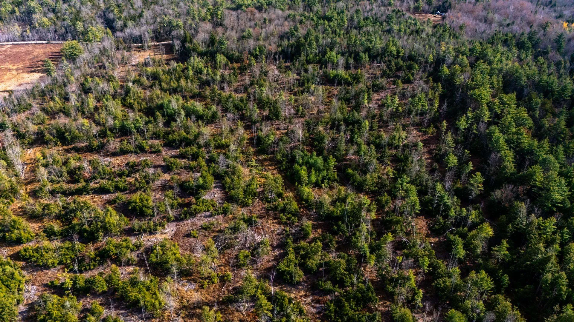 00 Leighton Corner Road Ossipee NH 03864