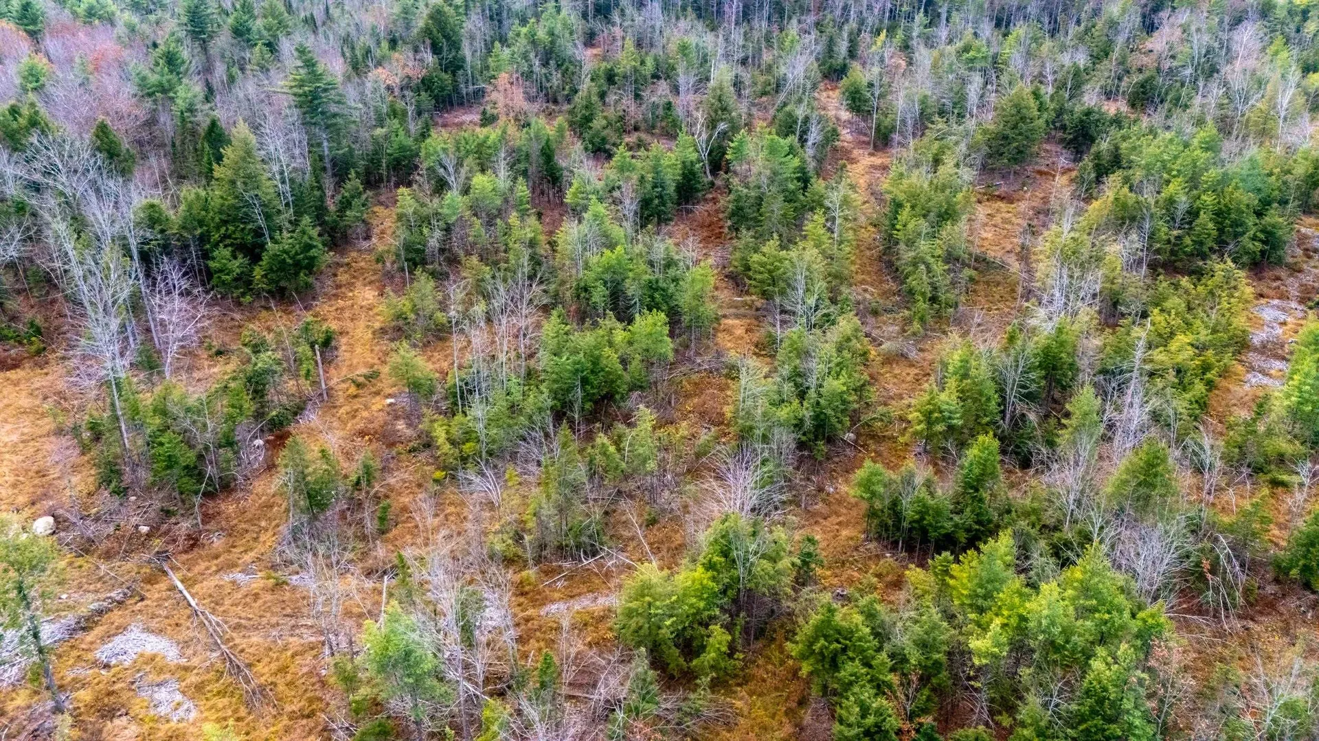 00 Leighton Corner Road Ossipee NH 03864