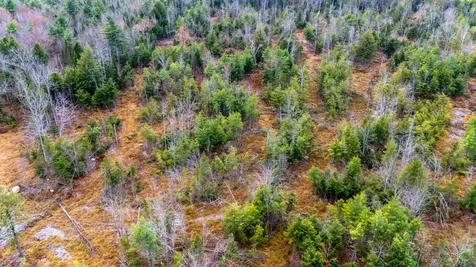 00 Leighton Corner Road Ossipee NH 03864