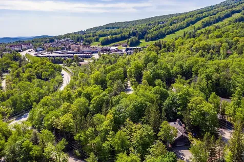 11 Founders Hill Road Winhall VT 05340