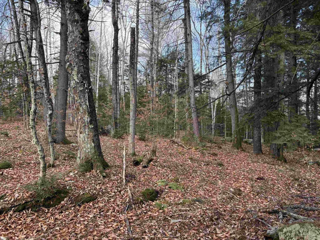 Karen Drive Jamaica VT 05343