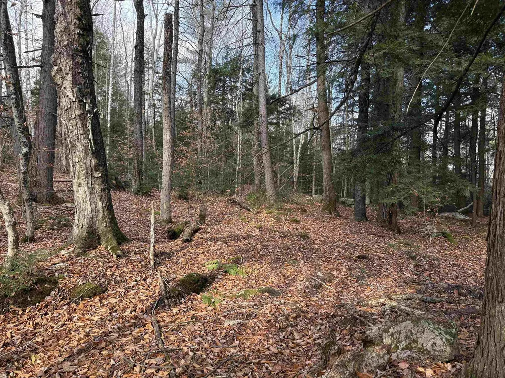 Karen Drive Jamaica VT 05343