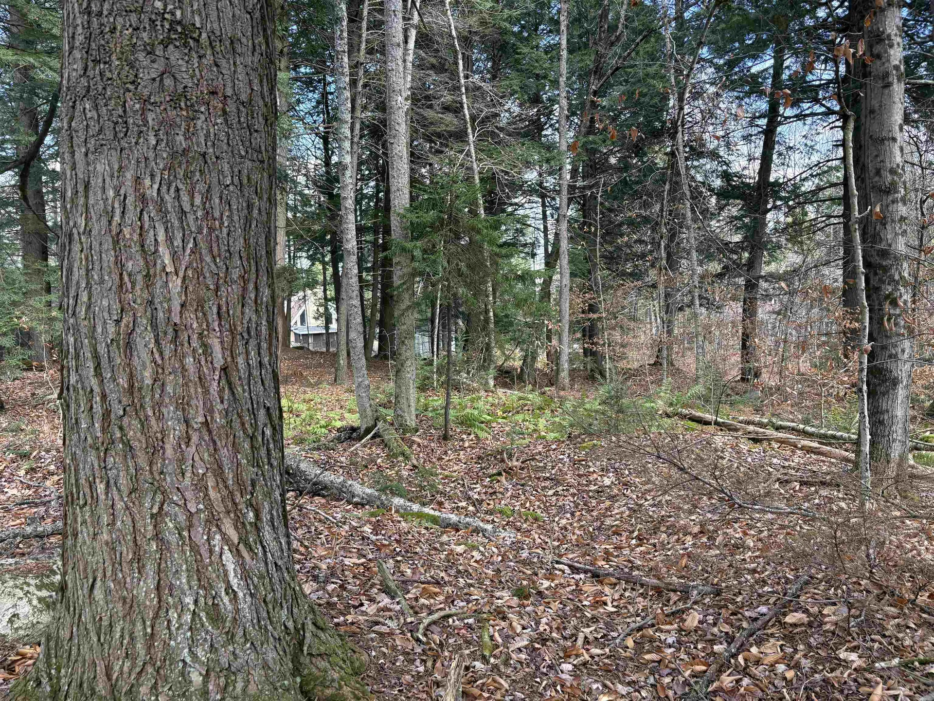 Karen Drive Jamaica VT 05343