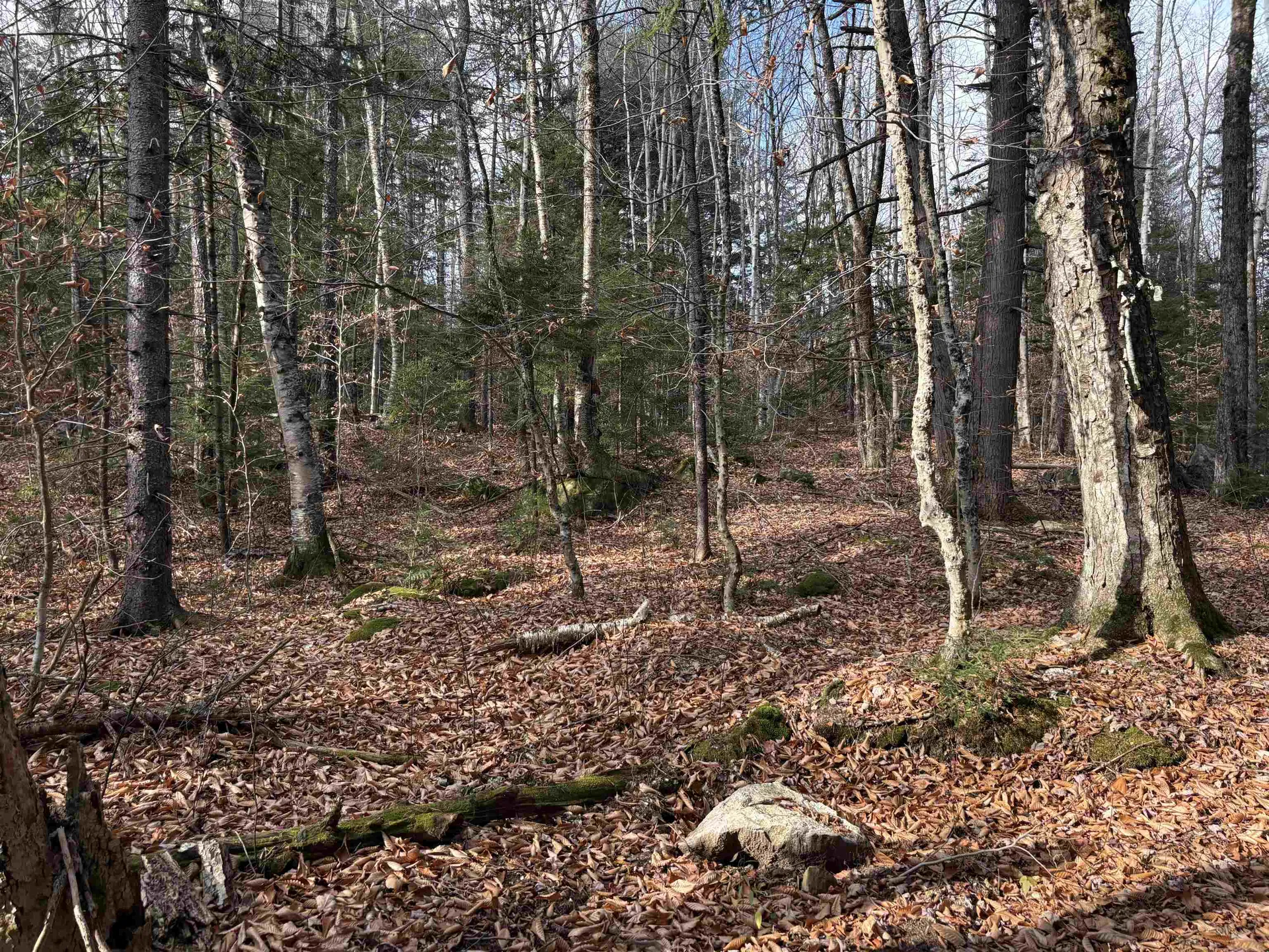 Karen Drive Jamaica VT 05343