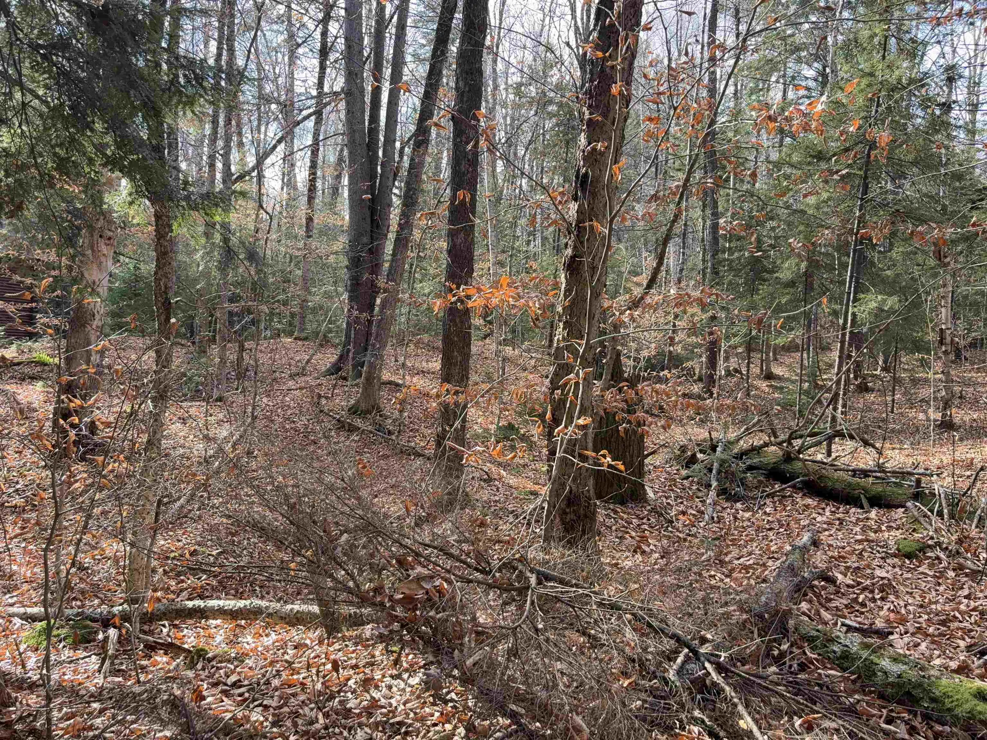 Karen Drive Jamaica VT 05343