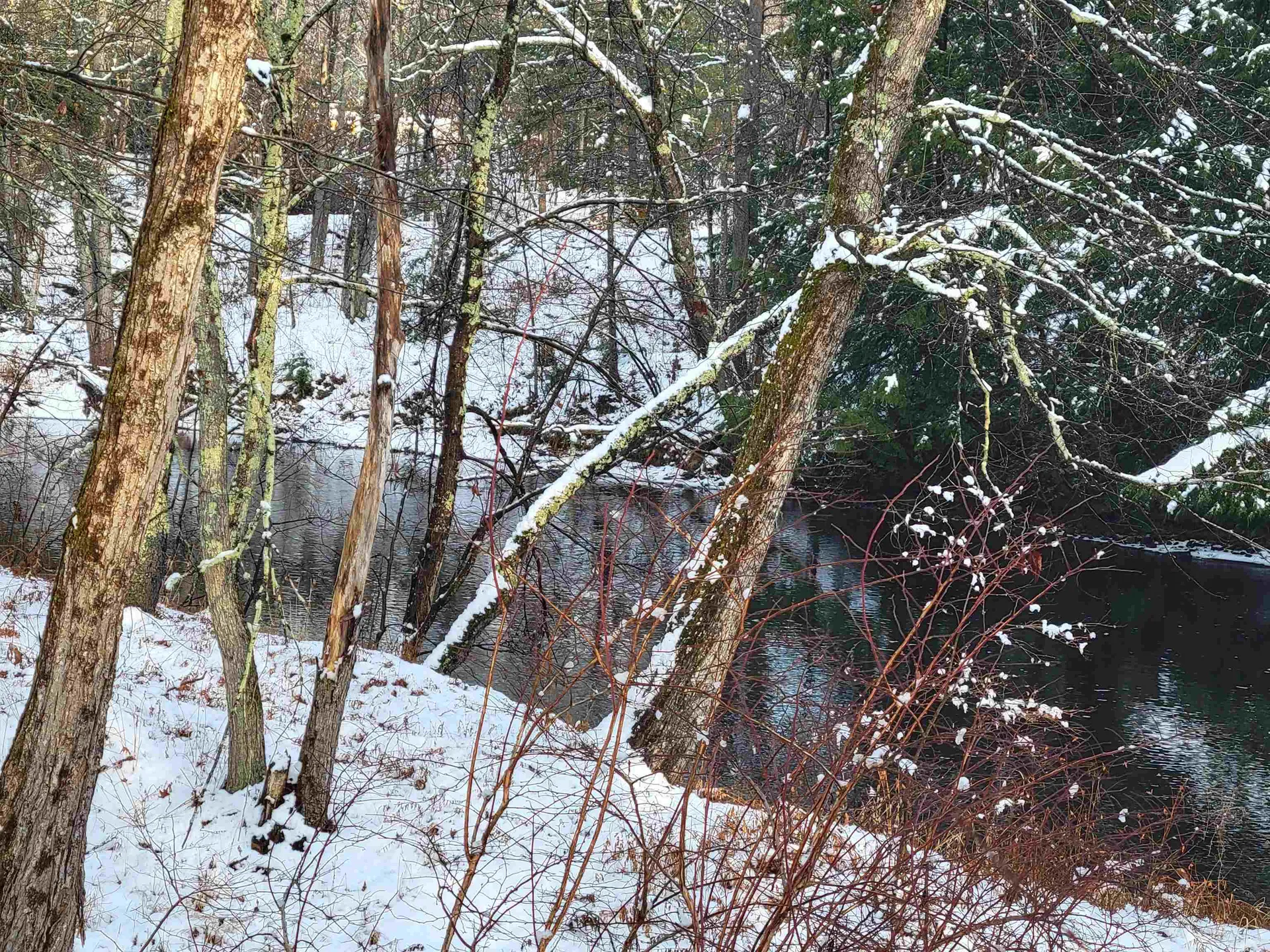 61b Suncook Valley Road Barnstead NH 03225