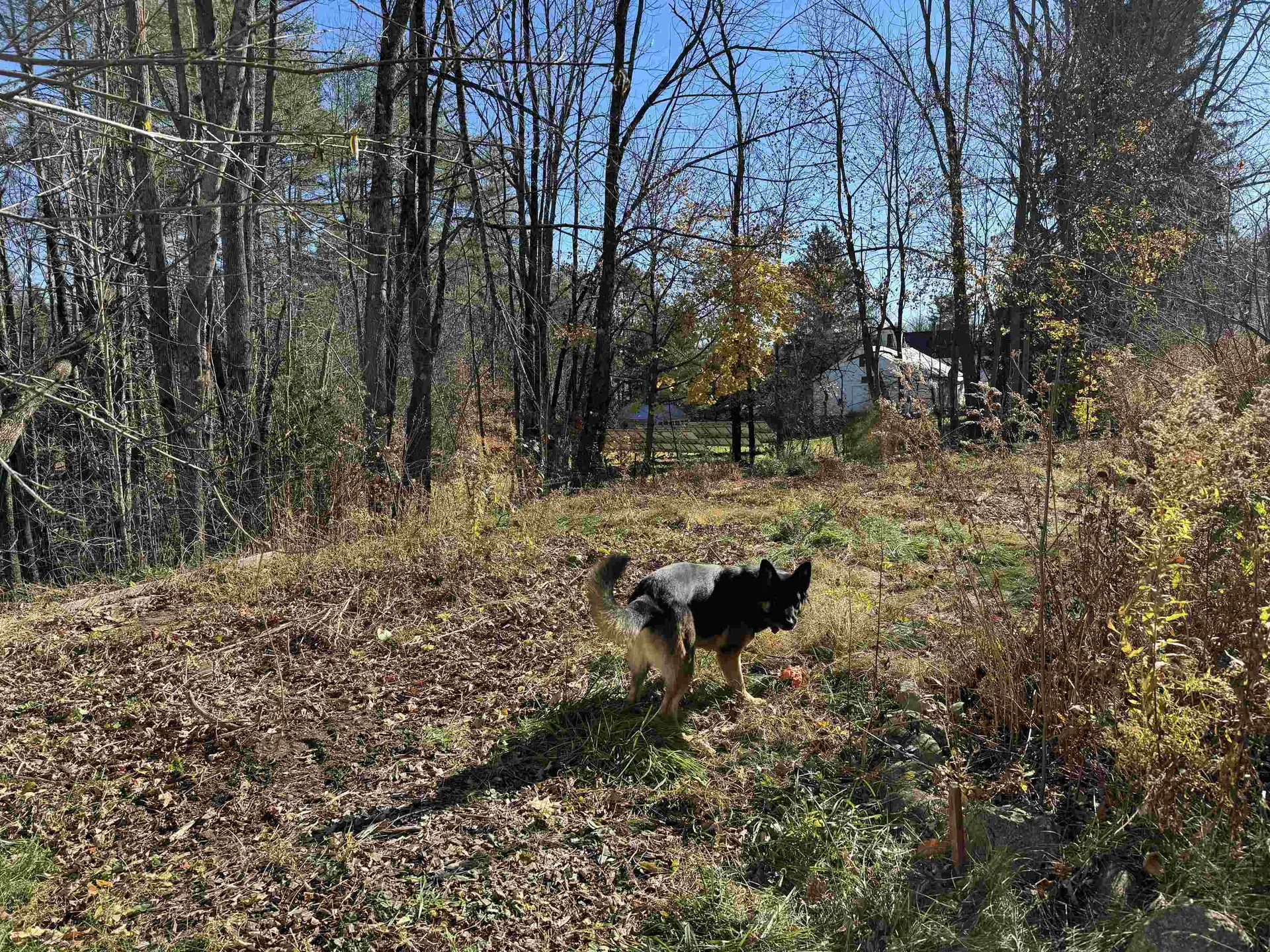 22 Moulton Road Freedom NH 03836