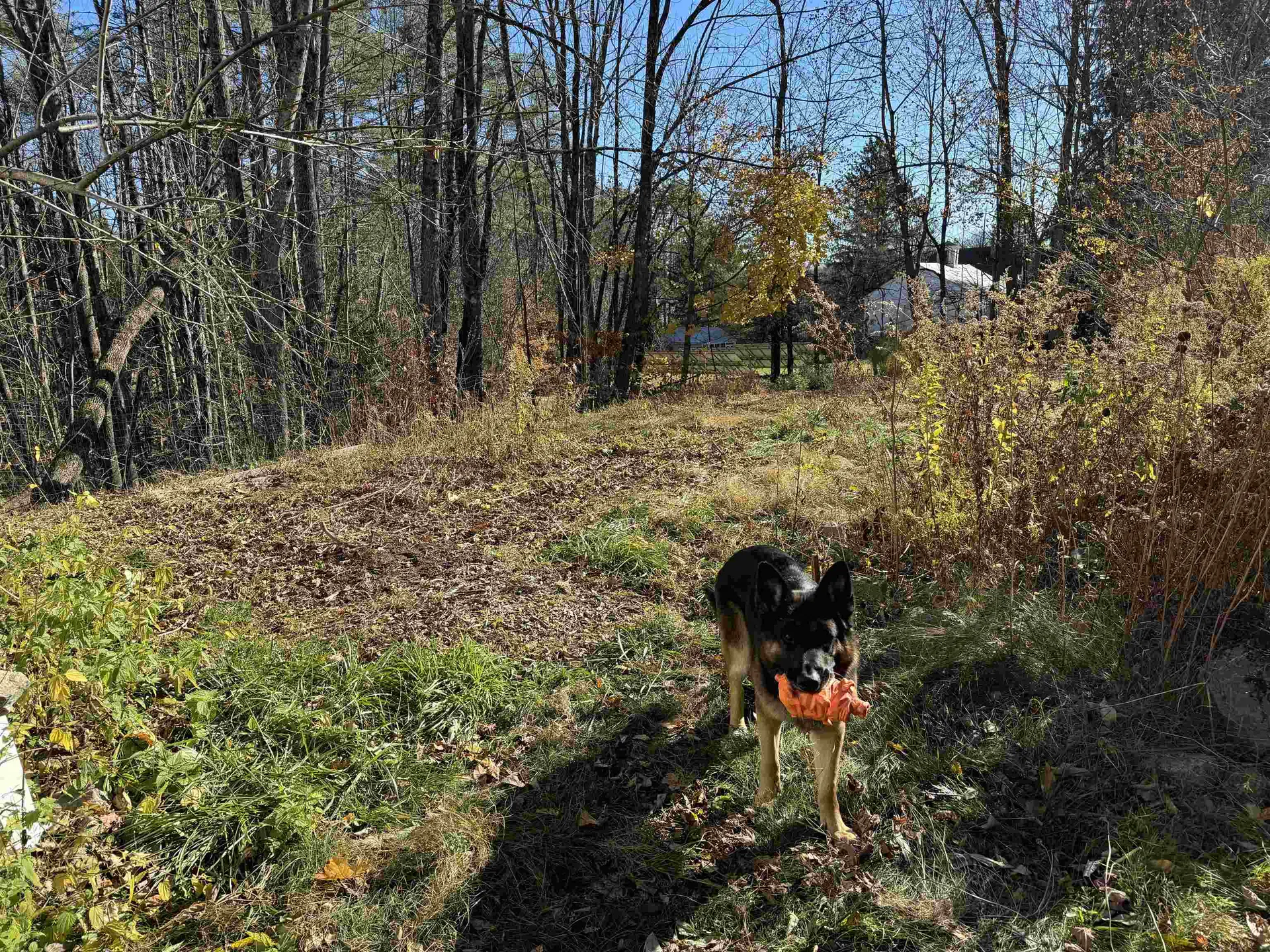 22 Moulton Road Freedom NH 03836