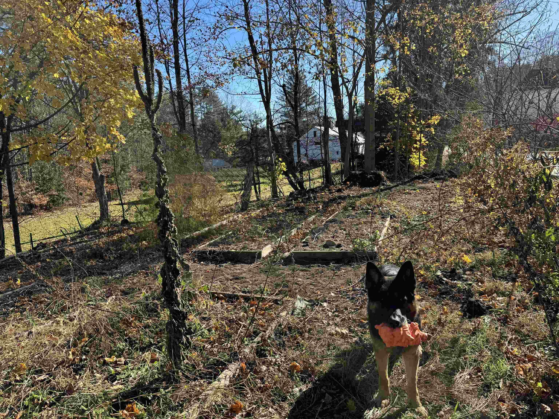 22 Moulton Road Freedom NH 03836