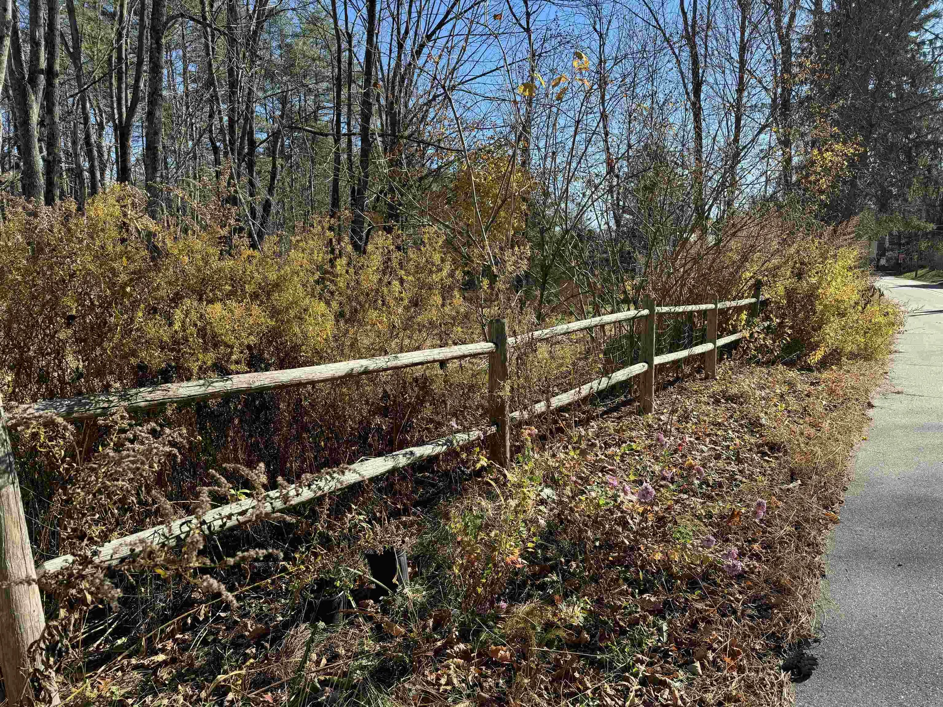 22 Moulton Road Freedom NH 03836