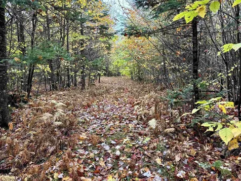 5559 Leonard Hill Road Concord VT 05824