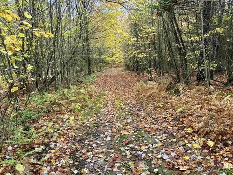 5559 Leonard Hill Road Concord VT 05824