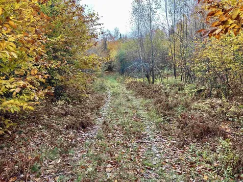 5559 Leonard Hill Road Concord VT 05824