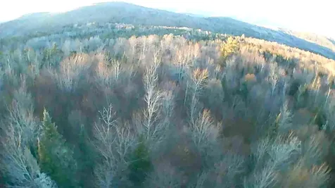 5559 Leonard Hill Road Concord VT 05824