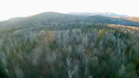 5559 Leonard Hill Road Concord VT 05824