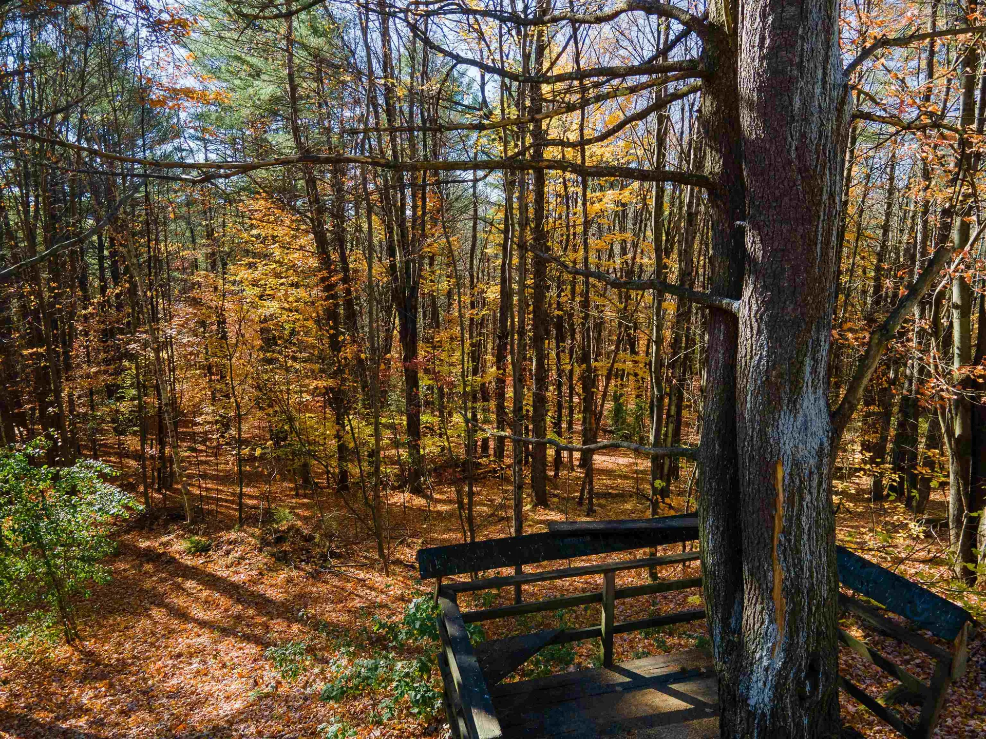 12 Cook Place Claremont NH 03743