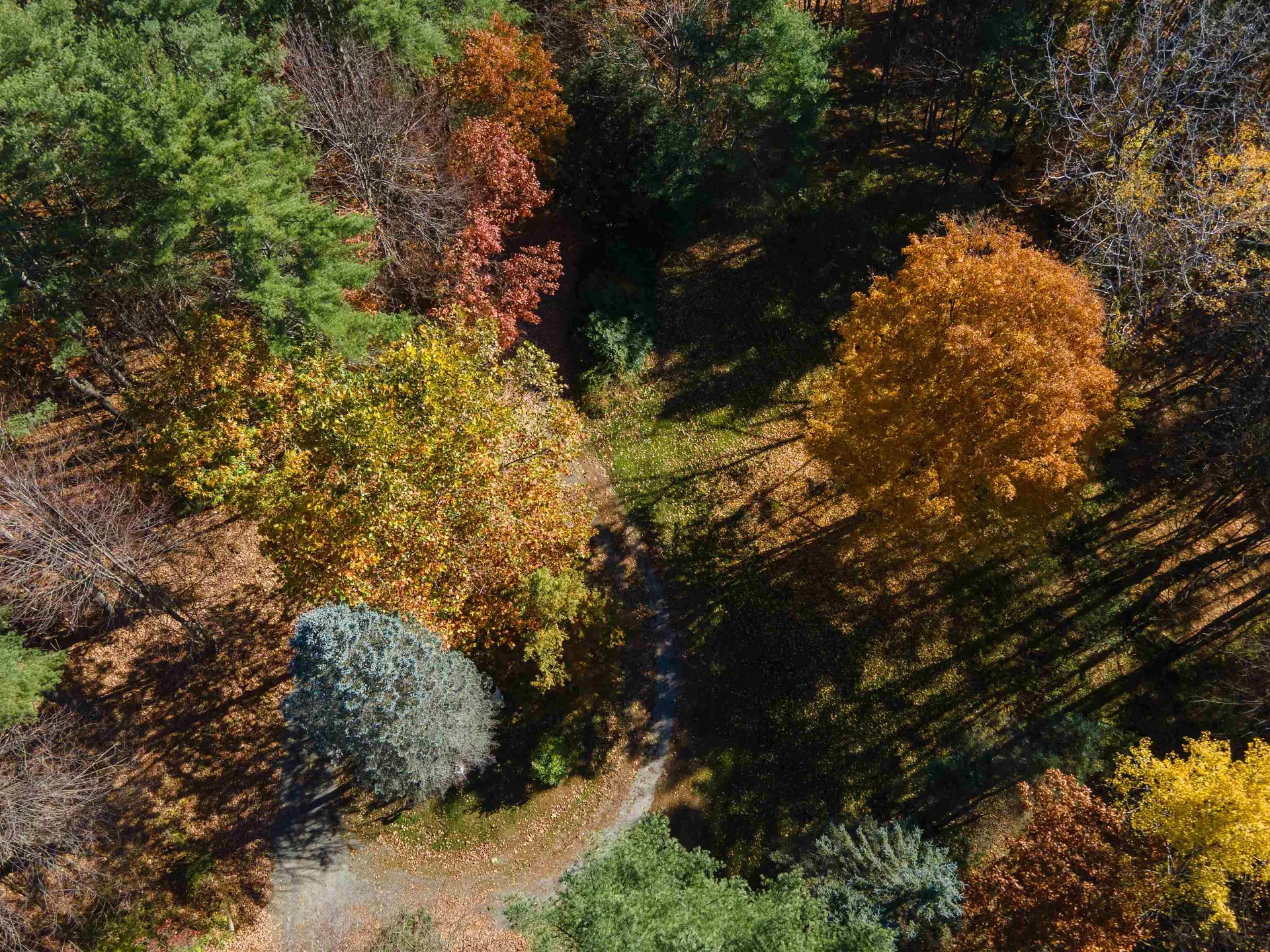 12 Cook Place Claremont NH 03743