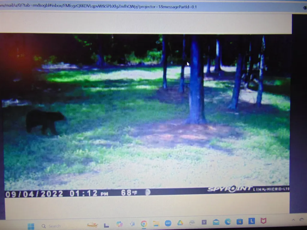 0 U.s. Route 2 St. Johnsbury VT 05838