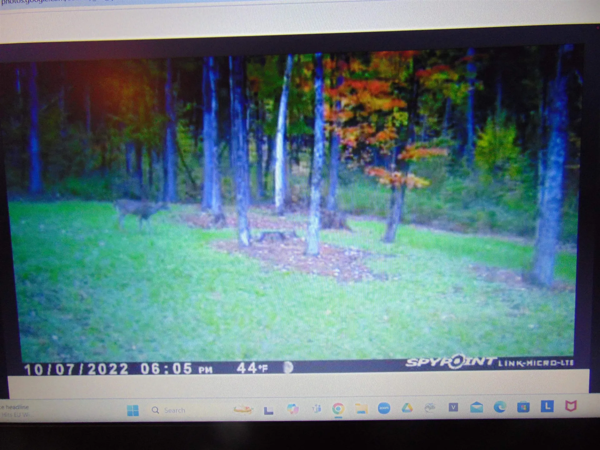 0 U.s. Route 2 St. Johnsbury VT 05838