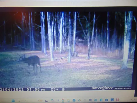 0 U.s. Route 2 St. Johnsbury VT 05838